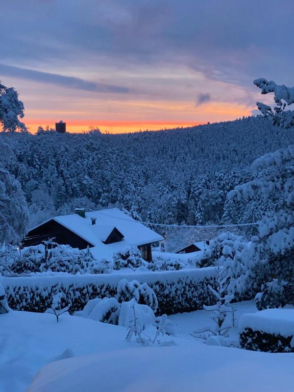 L'Hippocampe - photo 11