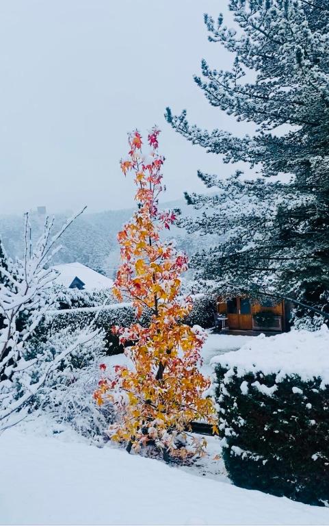 L'Hippocampe - photo 14