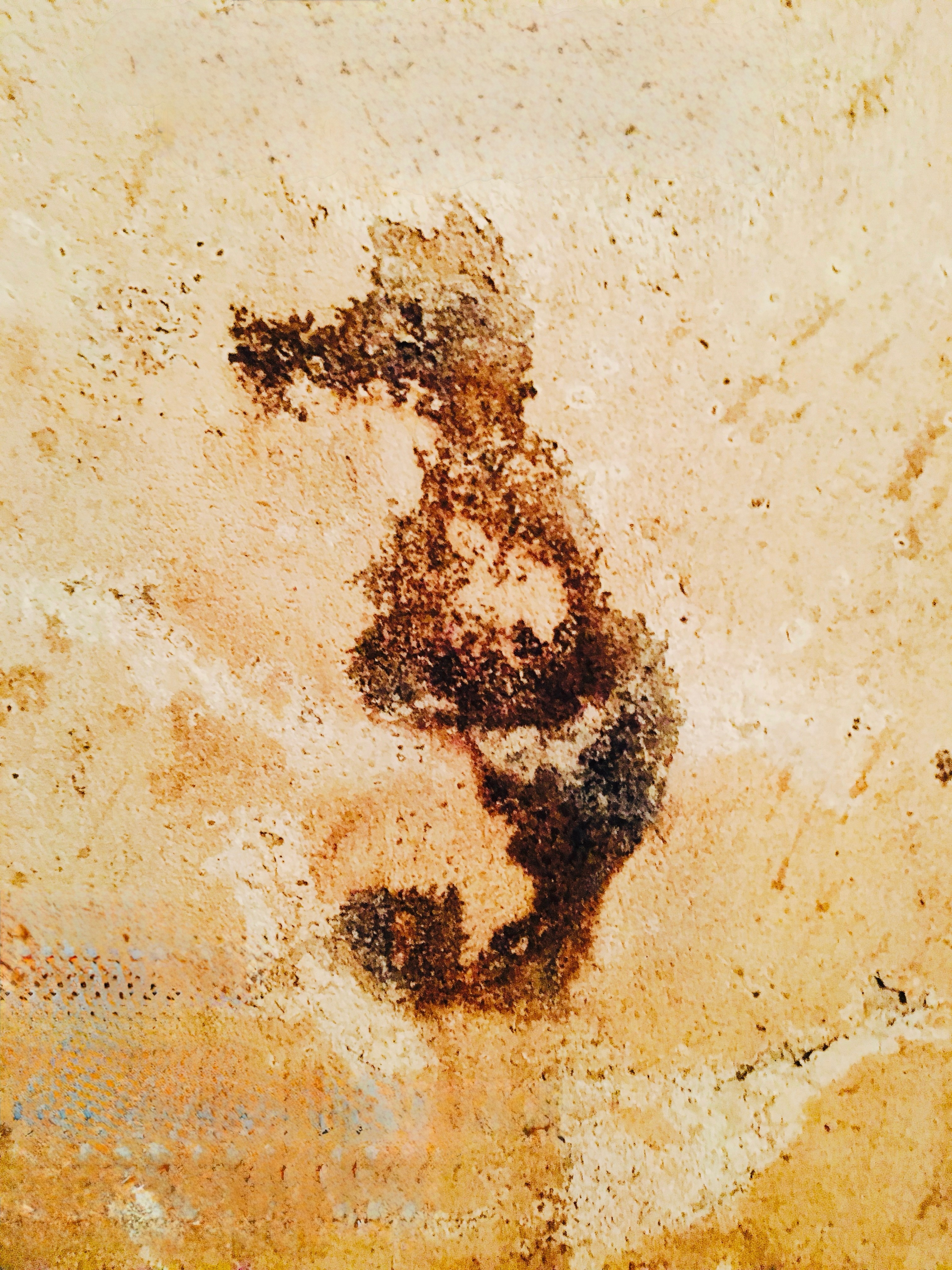 L'Hippocampe - chambres d'hôtes en Alsace